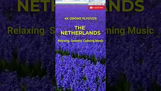 Netherlands in 4K- with Calming Music #soothingrelaxation #scenicrelaxation