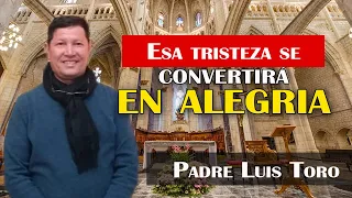 ¿Cómo enfrentar la muerte de un ser querido? ¿Es el fin? | PADRE LUIS TORO