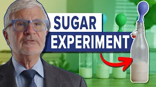 Unlock the Secrets of Sugar's Impact on Your Gut in This Science Experiment | Gundry MD
