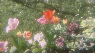 Flowers-Pinkpantheress [Extended]