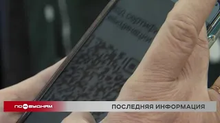 Решить проблему поддельных QR-кодов планируют с помощью специального приложения