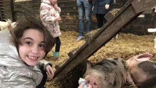 Ферма коз в Нидерландах для детей и взрослых