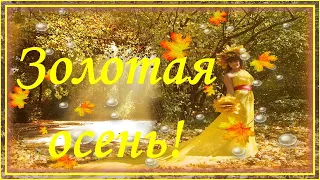 С Золотой Осенью! Счастливой Осени! 🌻 С Добрым Утром и Хорошим Днём!