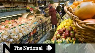 Doctors weigh in on coming changes to Canada's Food Guide | Health Panel