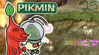 Doing the Big Smart | Pikmin: Part 25