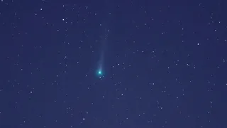 Comet C/2021 A1, Leonard