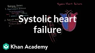 Systolic heart failure pathophysiology | Circulatory System and Disease | NCLEX-RN | Khan Academy