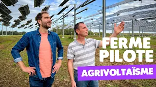 Agrivoltaics: Generating Solar Power Above Arable Crops