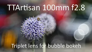 A new bubble bokeh monster!  TTArtisan 100mm f2.8 triplet lens.