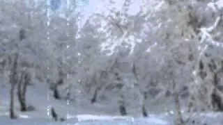 Fantasia en la nieve.wmv