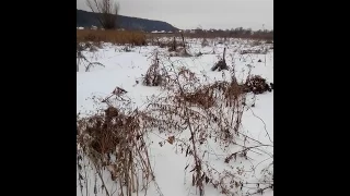 Участок возле леса и озера, село Гнедин