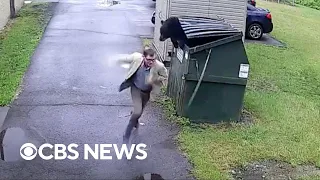 Principal gets startled after finding bear in school dumpster