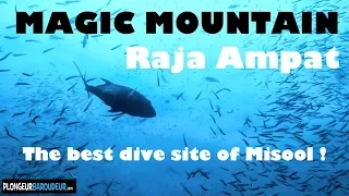 Raja ampat best dive site Magic mountain   Meilleur site de plongée Raja Ampat mountain