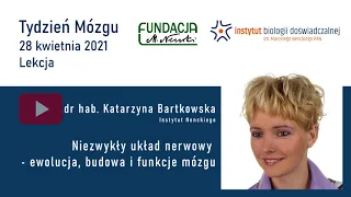 „Niezwykły układ nerwowy - ewolucja, budowa i funkcje mózgu”