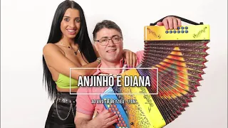 Anjinho e Diana ao vivo em Meyzieu - Lyon