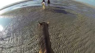 fort mahon plage