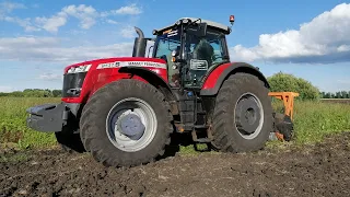 Трактор Massey Ferguson с мульчером TMC Cancela удаление древесно-кустарниковой растительности