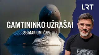 Gamtininko užrašai. Narų muzika besimėgavęs Čepulis: stilingi skardžiabalsiai