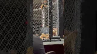 8th amateur mma fight
