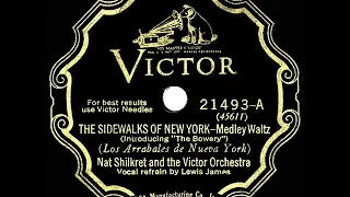 1928 HITS ARCHIVE: The Sidewalks Of New York - Nat Shilkret (Lewis James, vocal)