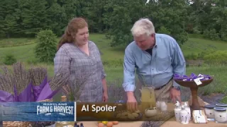 Lavender Honey - Maryland Farm and Harvest