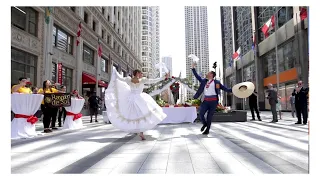 Marinera norteña en la Plaza de las Américas de Chicago - Bicentenario