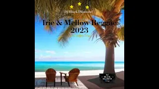 Irie & Mellow Reggae Mix: Bushman, Bitty MClean, Beres Hammond, Sanchez, Benjy Myaz, Mikey Spice