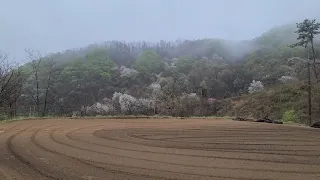 함중아 "안개속에 두 그림자"