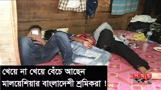 খেয়ে না খেয়ে বেঁচে আছেন মালয়েশিয়ার বাংলাদেশী শ্রমিকরা !