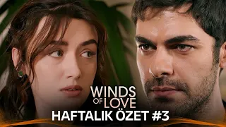 Winds of Love Weekly Summary #3 | Rüzgarlı Tepe Haftalık Kolaj #3