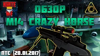 Warface Обзор М14 Crazy Horse. Новая Снайперка в Варфейс