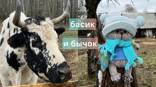 Басик Семён и бычок Вира.  #басик #басики #басиквдеревне