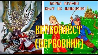 Вербохлёст - вербовник