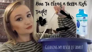 HOW TO CLEAN A BETTA TANK! | WHAT YOU WILL NEED & TUTORIAL | ItsAnnaLouise