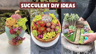 13 Succulent DIY Ideas| 13 Ý tưởng trang trí sen đá cực đẹp| 多肉植物| 다육이들 | Suculentas