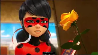 Miraculous  New york cat noir give ladybug a yellow rose as a friend