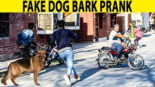 Fake Dog Bark Prank | Prank in Pakistan | Lahori PrankStar