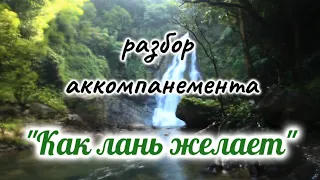 Как лань желает || НОТЫ || разбор аккомпанемента