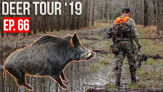 MISSISSIPPI FLOOD! - Hunting HOGS and DEER on Public Land!