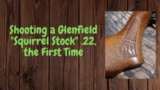 Shooting a Glenfield "Squirrel Stock" .22 the First Time