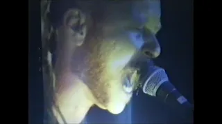 Metallica - NEW SONG!! Devil's Dance Monster of Rock 1995 Donington Park