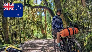 Bikepacking New Zealand's Timber Trail