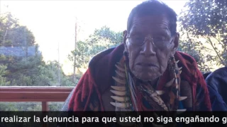 Taita Querubín, La Verdad sobre Ayahuasca Internacional