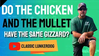 Do The Chicken And The Mullet Have The Same Gizzard?