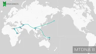 MTDNA B - DNAGENICS