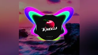 TE Molla Bass Boosted🔴 l AZ Remix