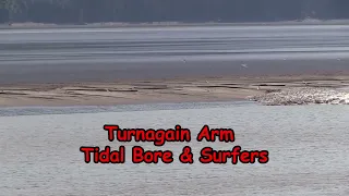 Alaska's Turnagain Arm & It's Bore and Surfers