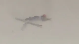 Epic Ski Jumping Crash