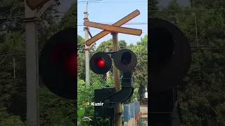 Kompilasi Perlintasan Kereta Api Part 2 - Railroad Crossing Indonesia Staatsspoorwegen India Train