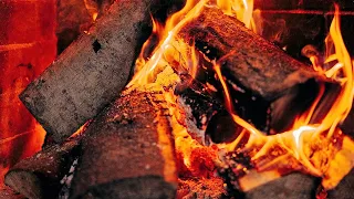 Campfire | Winter Camping Cozy Cabin Fireplace Video Campfire Sounds Effects Snow Bonfire #4kultrahd